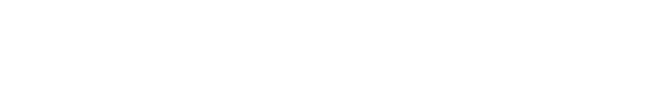 Wilga Downs