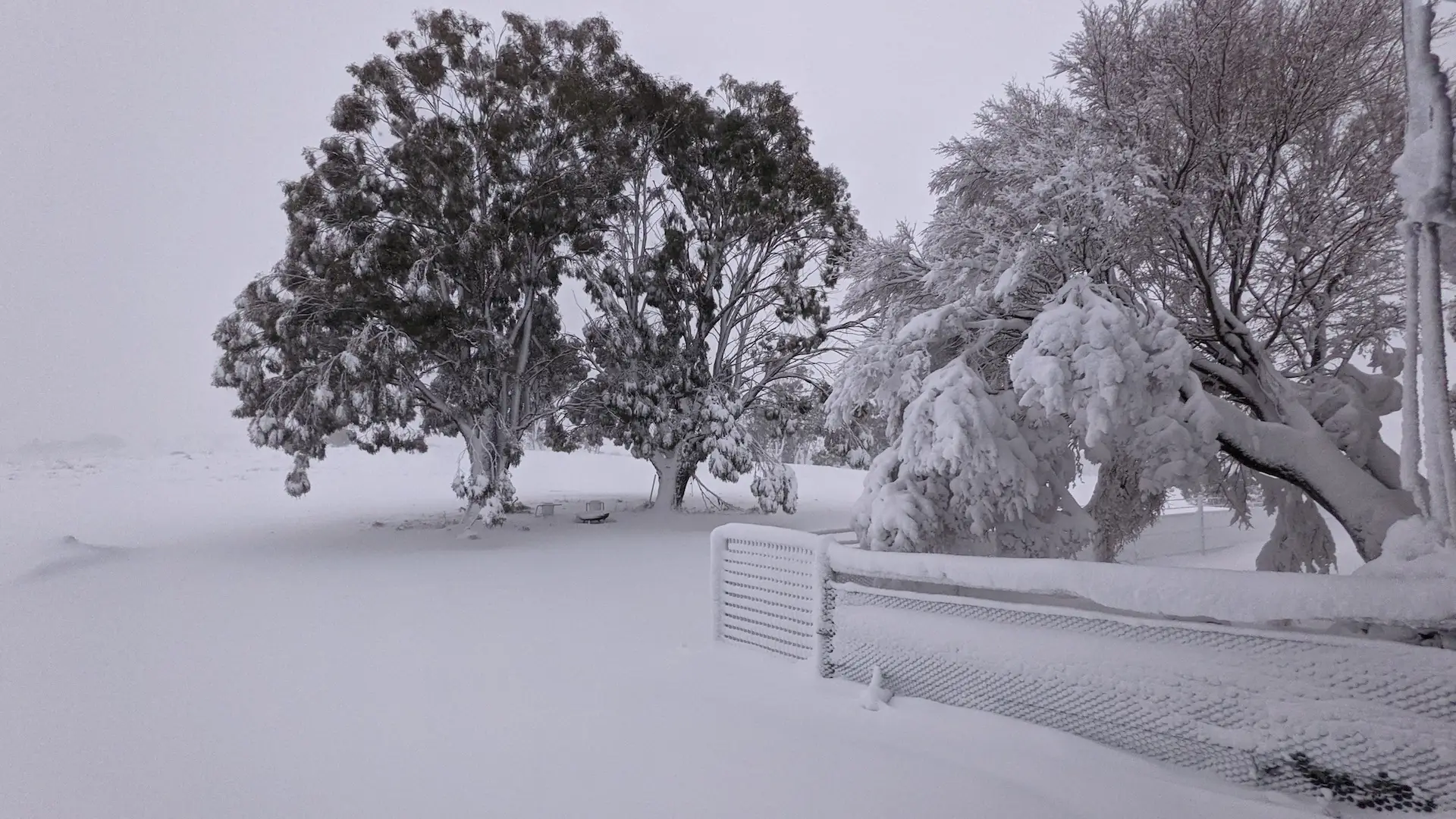 Snowfall at cottage
