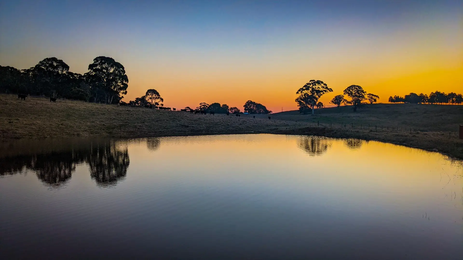Wilga Downs view